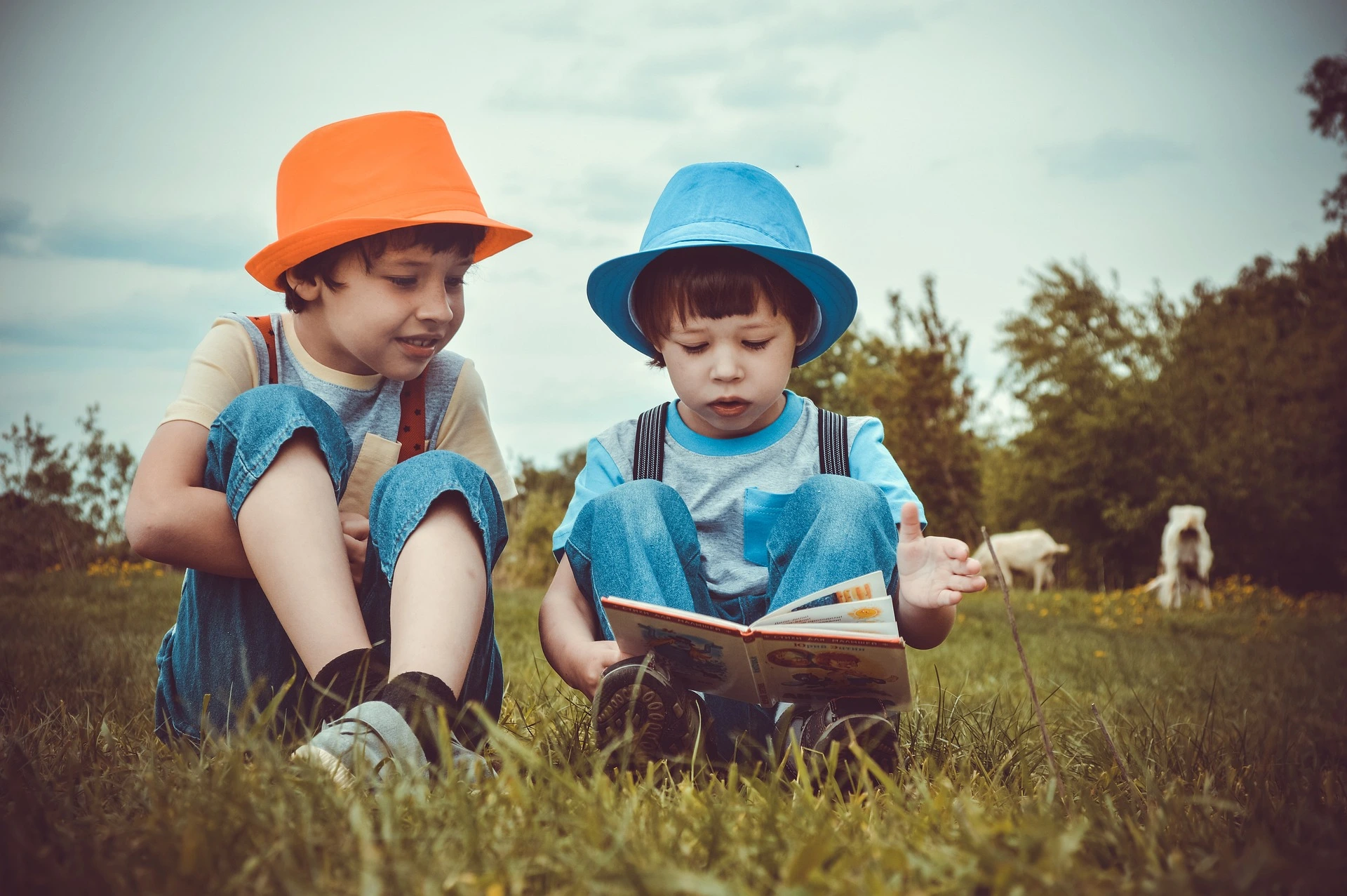Doi copii stau pe iarba și citesc dintr-o carte
